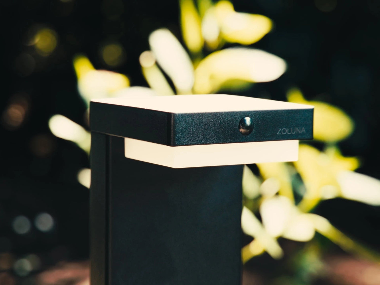 Solar Priklamp Collectie - ZOLUNA