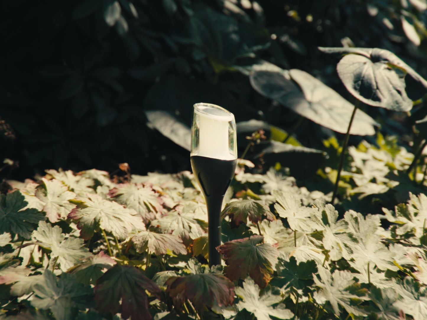 4x Solar Spike Light Anky - ZOLUNAZOLUNA