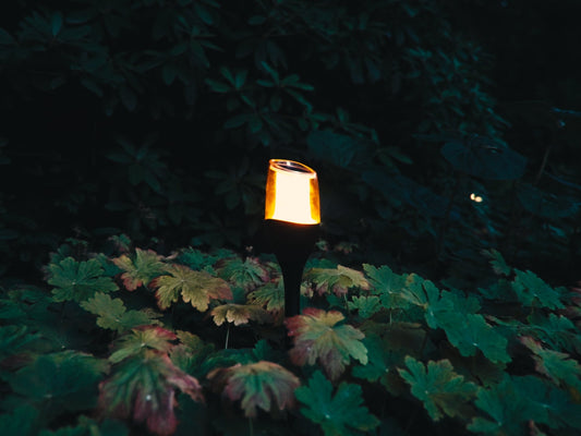 4x Solar Spike Light Anky - ZOLUNAZOLUNA