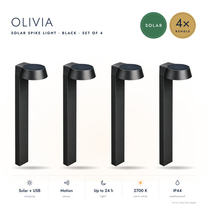 4-Delige Set: Solar Priklamp OLIVIA