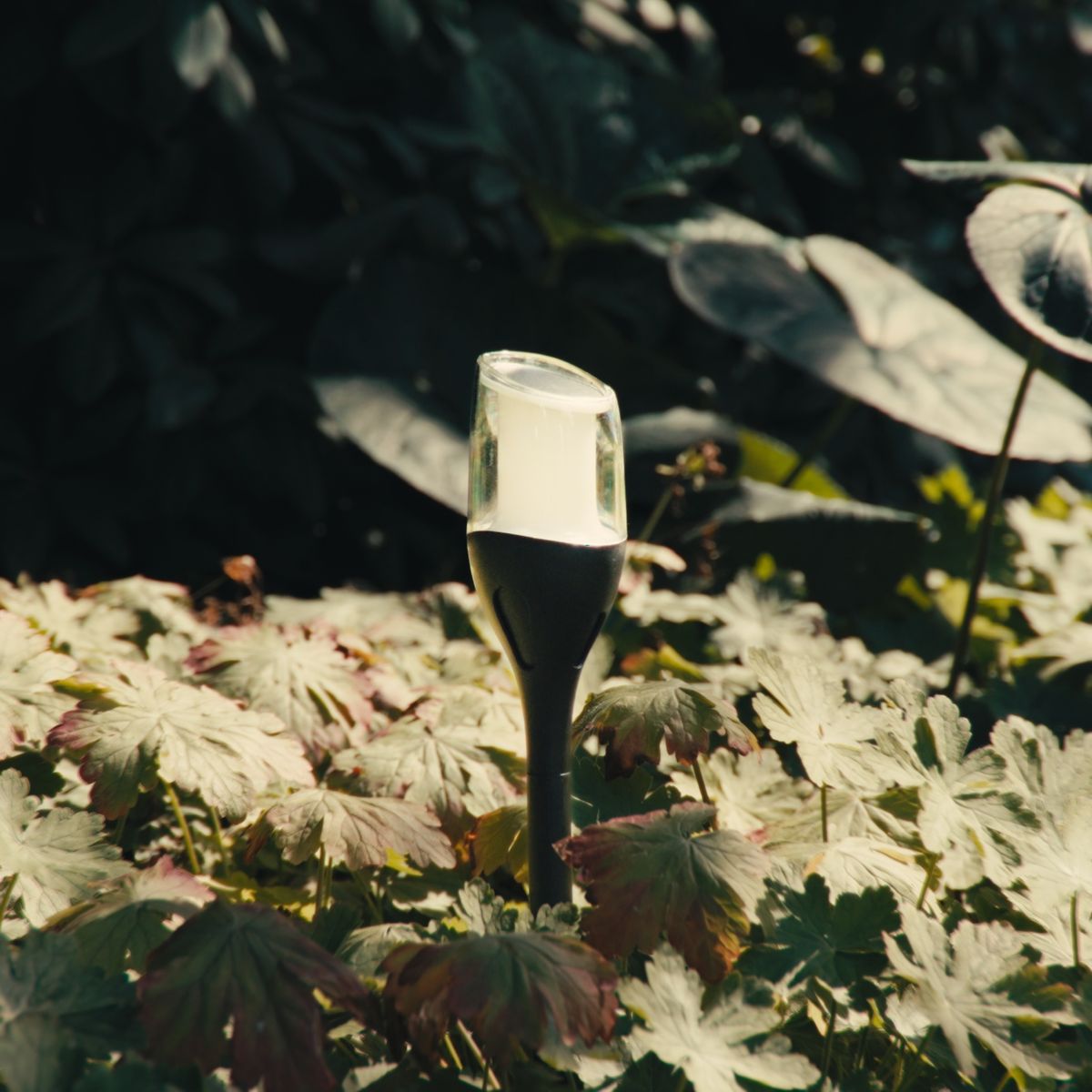 Solar Flame Light Anky | Moving Flame Light & 10 Hour Runtime