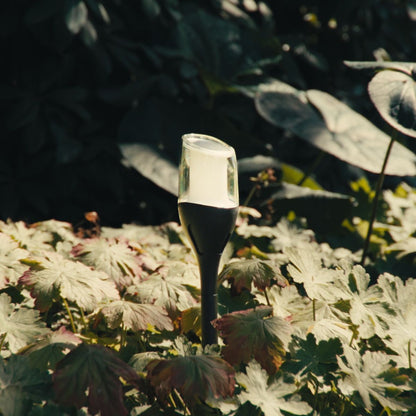 Solar Flame Light Anky | Moving Flame Light & 10 Hour Runtime