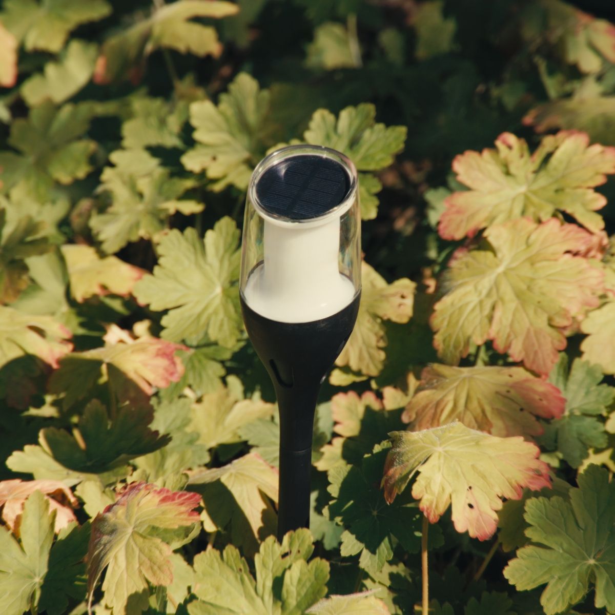 Solar Flame Light Anky | Moving Flame Light & 10 Hour Runtime