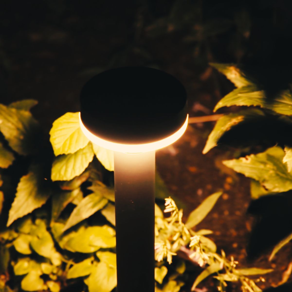ZOLUNA | Solar Spikelight Guus | Motion Sensor + Functions