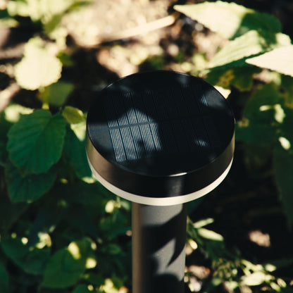 ZOLUNA | Solar Spikelight Guus | Motion Sensor + Functions