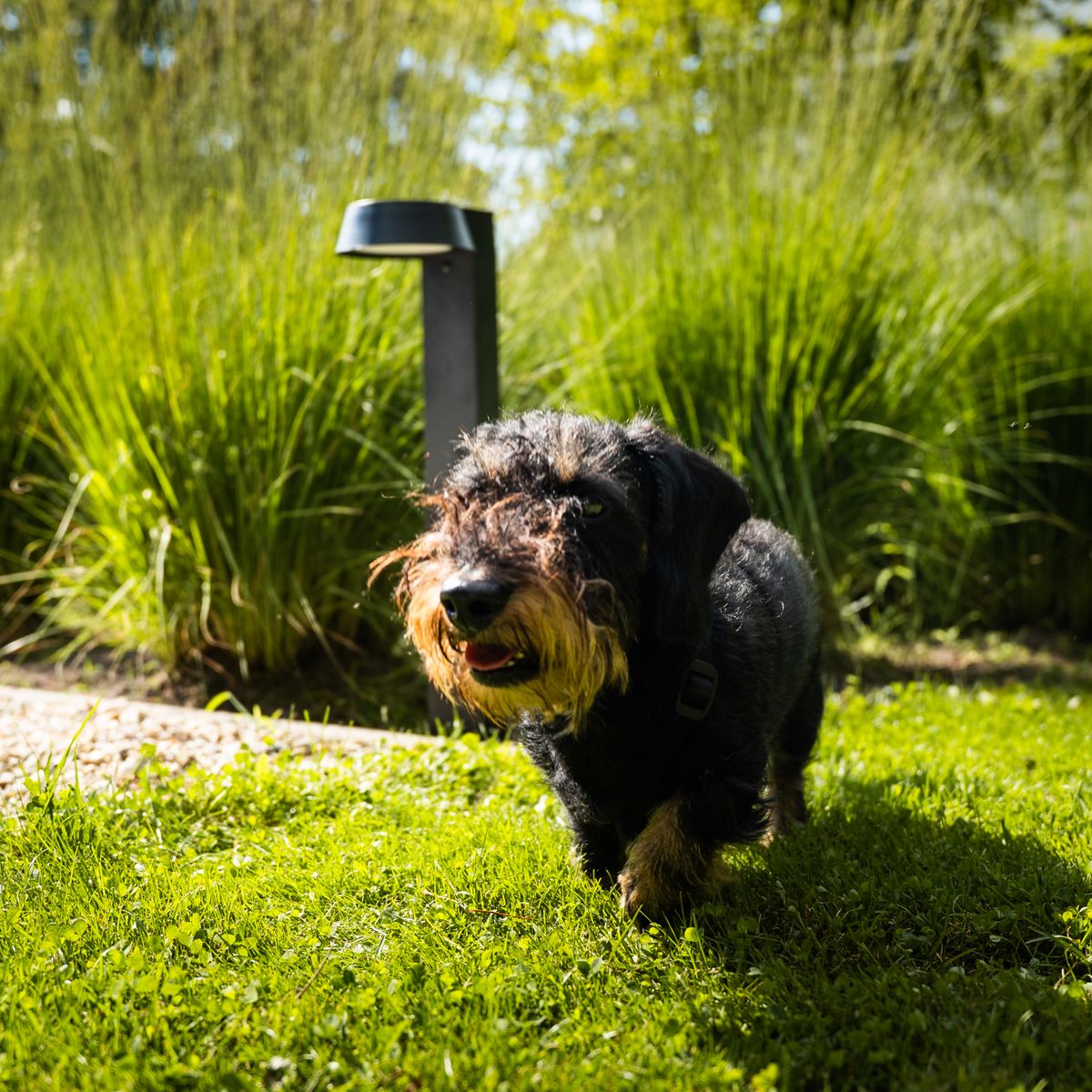 OLIVIA – Krachtige Solar Tuinlamp met Bewegingssensor