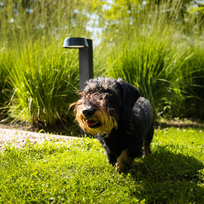 OLIVIA – Krachtige Solar Tuinlamp met Bewegingssensor