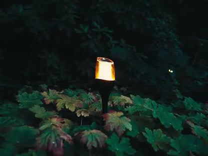 4x Solar Spike Light Anky